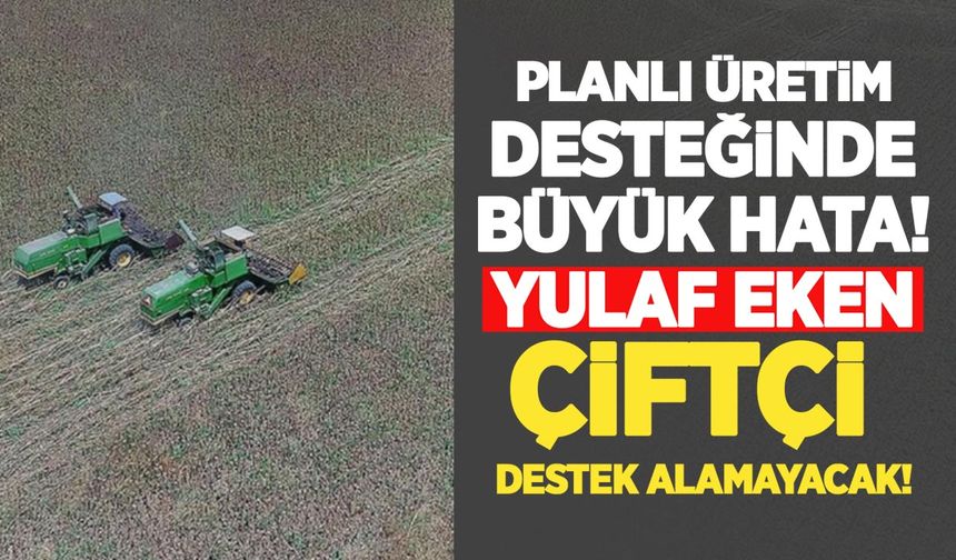 Planlı üretim desteğinde büyük hata: Yulaf eken çiftçi destek alamayacak
