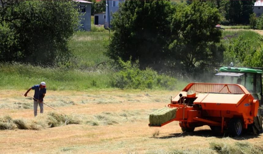 Avrupa'dan Türk tarımına 'Mercosur' darbesi: Ucuz et ve tahıl kapıda, Türkiye risk altında!