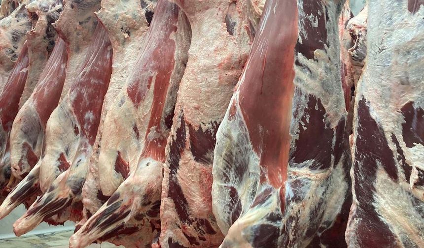 Et kesim fiyatları 2026 | Güncel dana, inek ve kuzu kesim fiyatları