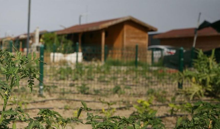 Hobi bahçelerinde kooperatif zırhı deliniyor: Tarım arazilerinde 'ya tarım ya yaptırım' dönemi!