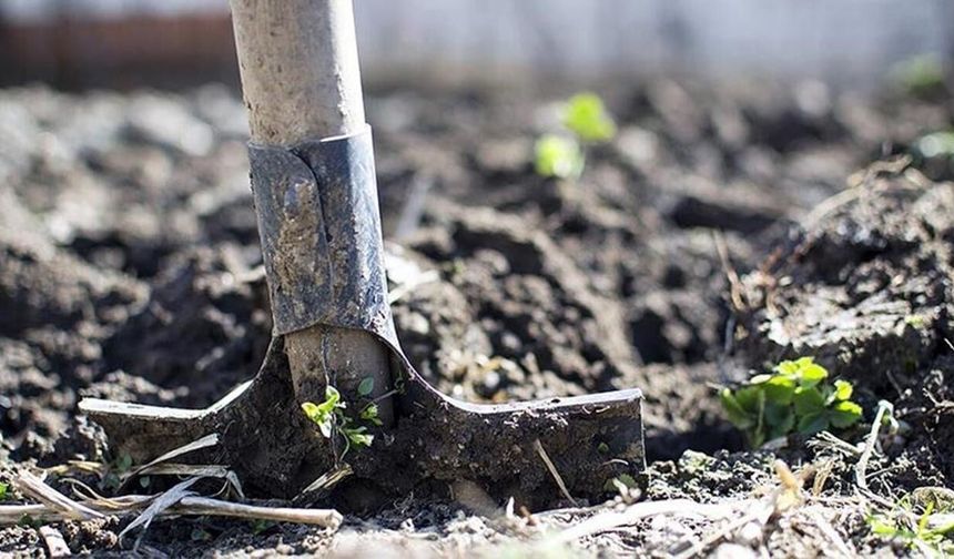 Enerji krizi tarımı nasıl vuruyor?