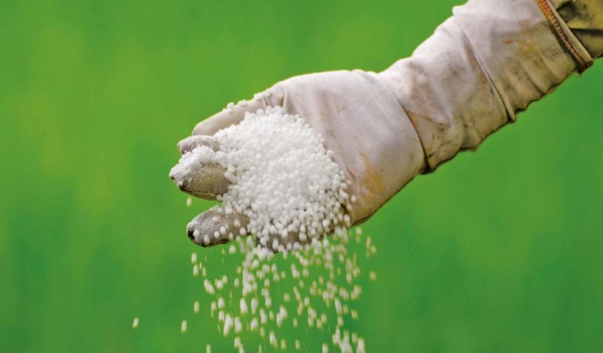 Küresel gübre piyasasında sert yükseliş: iki günde 60 dolar arttı