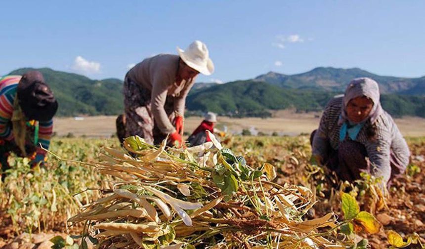 8 Mart bitti, gerçekle yüzleşme vakti