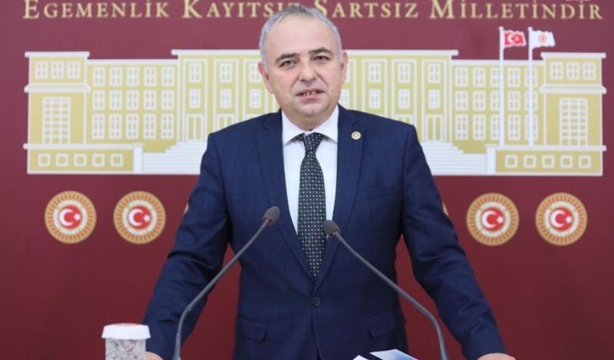 Zeytinyağında teneke krizi: Üretici yorgun aklımızla dalga geçmeyin!