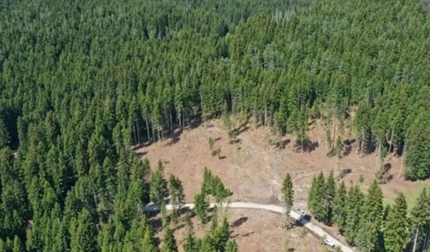 2B ve orman tapularında 'Samsun' çığlığı: Devlet emlakçı zihniyetiyle para toplamasın!