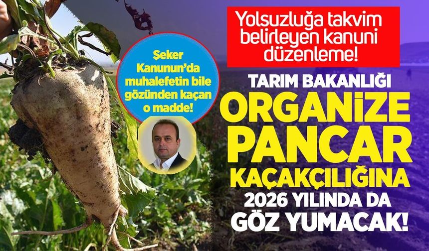 Pancar kaçakçılığına 2027'ye kadar "müsaade" ilamı!