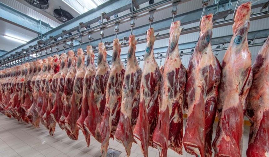Tarım Kredi'nin Bosna macerası hazin bitti! Et ithalat şirketi hayvan fiyatları artınca tasfiye edildi!