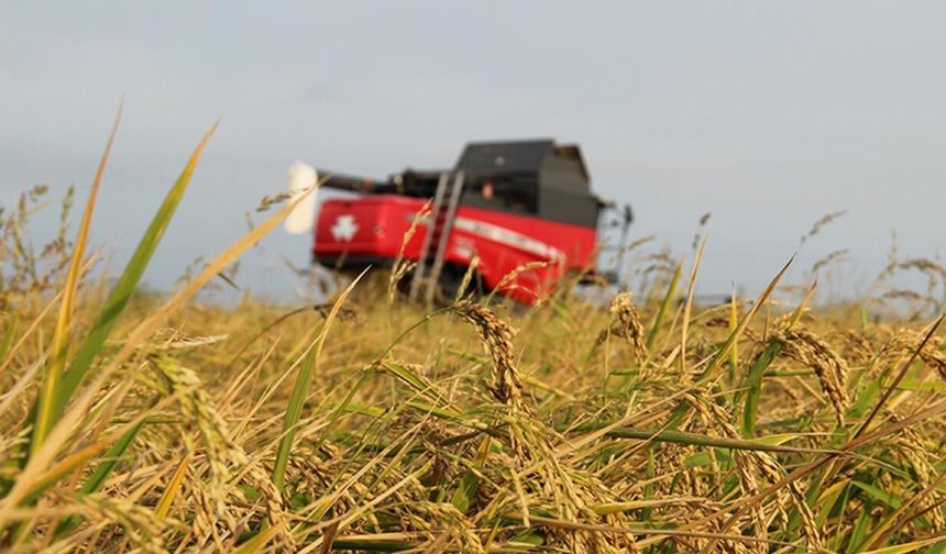 Tarımı ihmal eden bir ülke, geleceğini ithal eder
