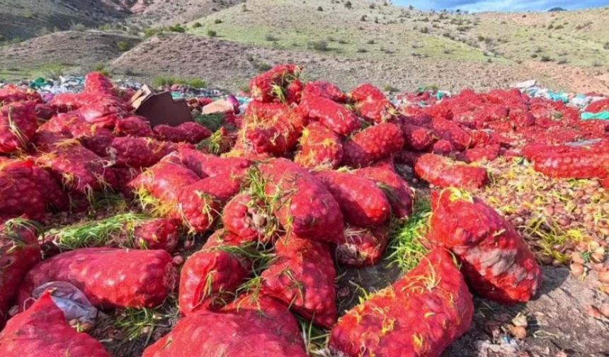 Vatandaşın suyu, çiftçinin gübresi, milletin vergisi: 'Planlı' şekilde çöpe döküldü!