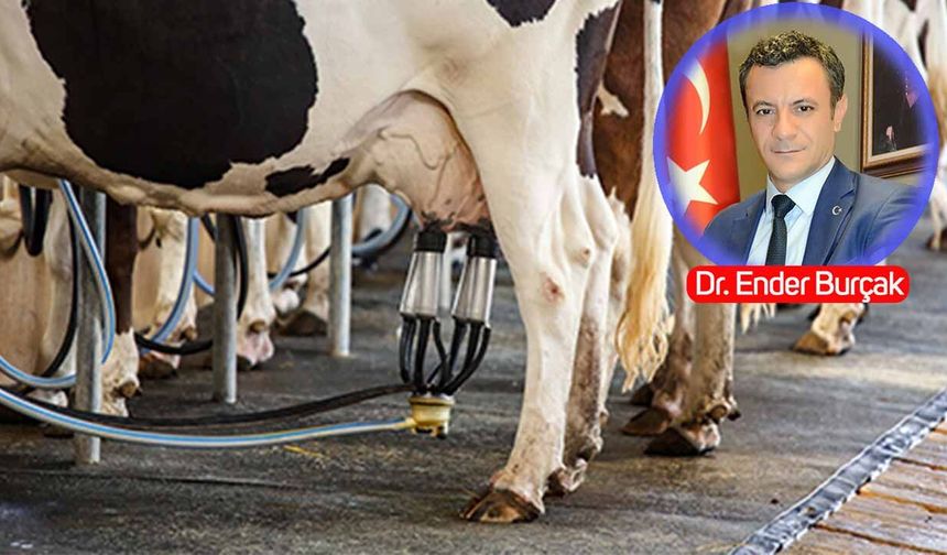 HAYGEM eski Daire Başkanı Dr. Ender Burçak’tan korkutan uyarı: "Mayıs’tan sonra süt bulmak zorlaşacak!"