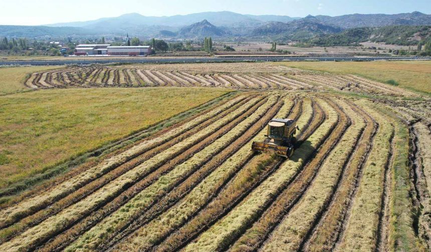Yatırımcılar dikkat: 2026 kırsal kalkınma destekleri için yol haritası açıklandı!