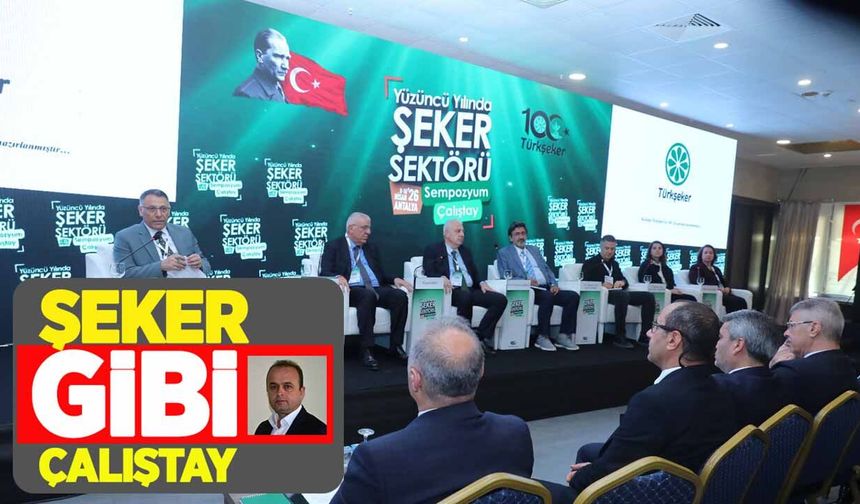 Şeker gibi çalıştay!