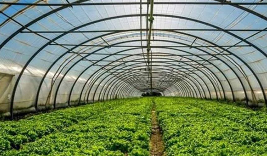 1 dekar sera kuranın yarısı devletten: Başvuru şartları ve puanlama kriterleri belli oldu!