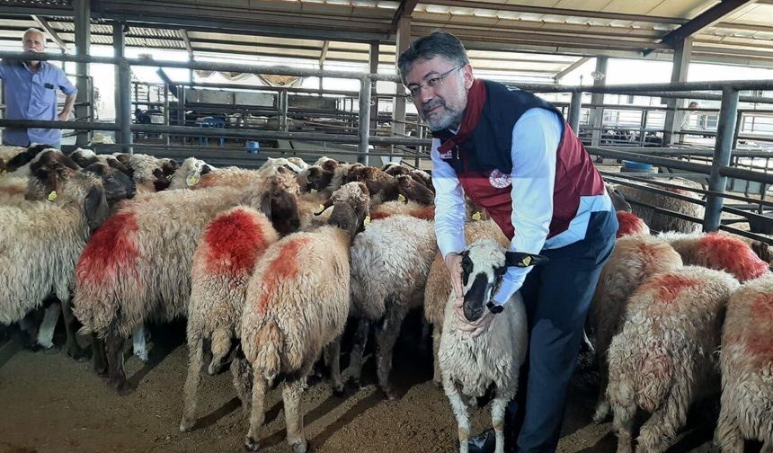 Bakan Yumaklı Detayları Paylaştı: Kırsalda 100 Küçükbaş ve Nakdi Destek Dönemi!