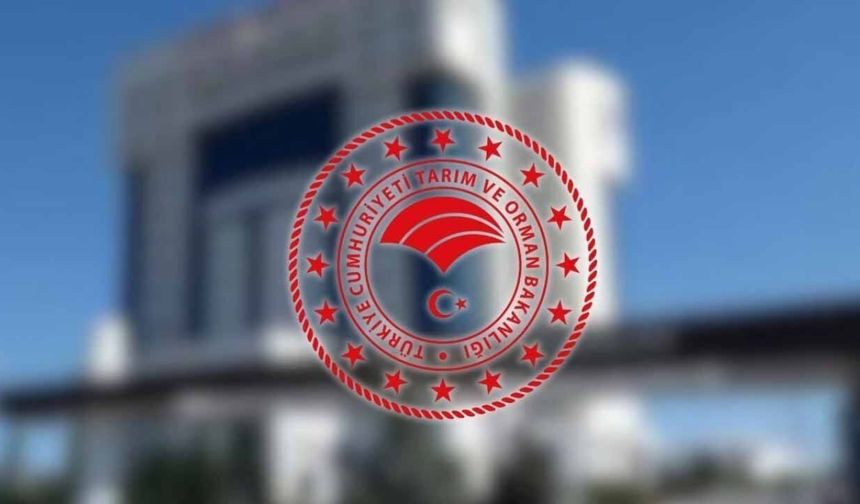 Kars’taki “yün yiyen hayvanlar” tartışmasına Bakanlıktan yanıt: “Yasak değil, mevsimsel takvim”