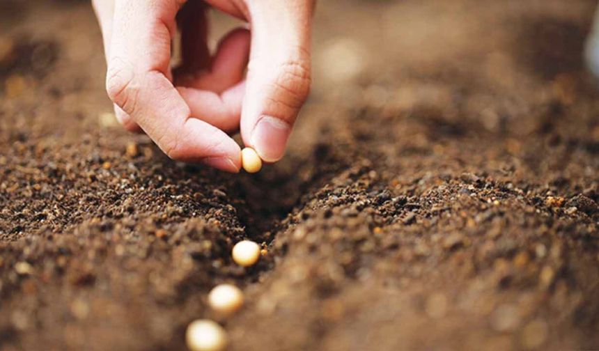 Tohum devlerine “Rekabet” darbesi: 189 milyon liralık ceza yağdı!