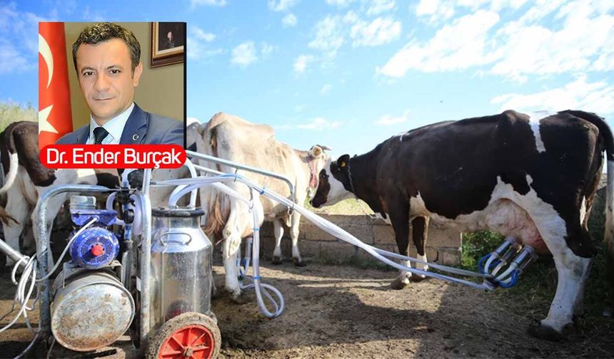 Sütte dev üretici, ihracatta cüce: Türkiye’nin "Kazan-Kazan" çıkmazı!