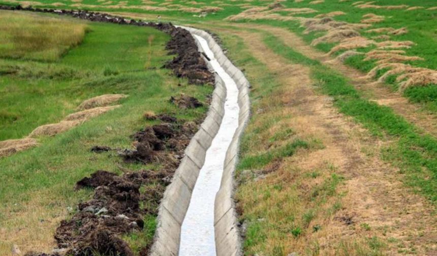 Asrın sorusu: Suya göre tarım mı, tarıma göre su mu? Parçalı yönetim Türkiye'yi susuzluğa mahkum ediyor!