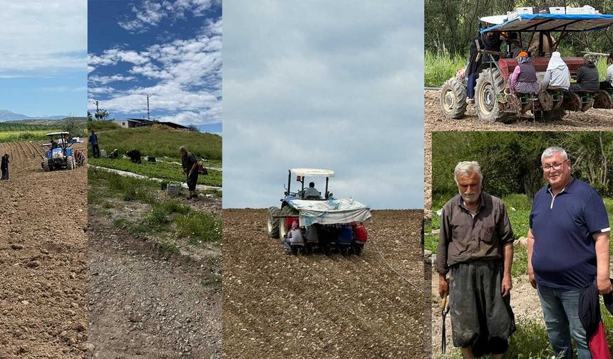 Adıyaman’da tütün üreticisine büyük darbe: "Bu fiyat alın terine ihanettir!"