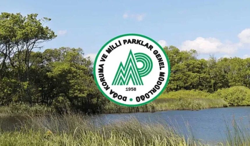 Mülakat yok, KPSS puanıyla direk atama! Tarım ve Orman Bakanlığı 92 personel alacak (Başvuru Şartları)
