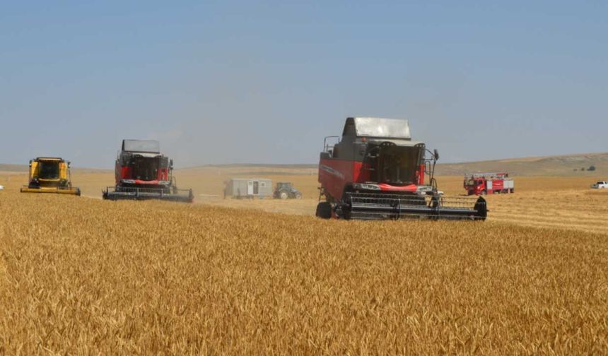 Eskişehir Ticaret Borsası'nda ay sonu raporu: Hasat öncesi buğday ve arpa fiyatları ne durumda?
