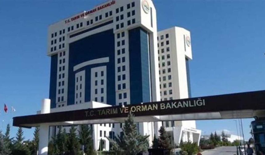 Dereli'de 600 milyonluk vurgunun perde arkası: Skandalın ucu Tarım Bakanlığına uzanıyor!