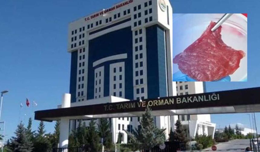 Bakanlık’tan Tarımdan Haber’in yapay et haberi sonrası resmi açıklama: “Başvuru bile yapılamayacak”