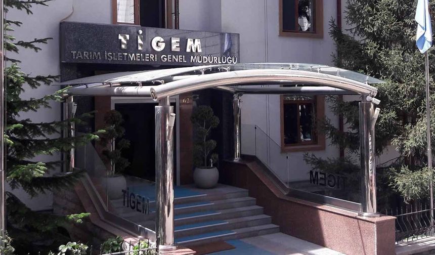 TİGEM’de ‘kadro’ bilmecesi: Genel Müdürlük personeli neden Polatlı üzerinden kadroya alınıyor?