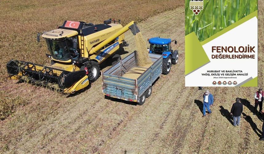 TMO korkulanı açıkladı, çiftçi tetikte: Hububat rekoltesi ve veriminde bölge bölge son durum!