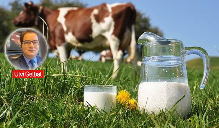 Sütün geleceği tehlikede: Üreticiyi yaşatmayan fiyat, ertelenmiş krizdir!