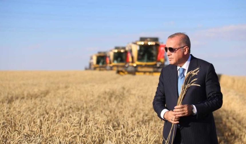 Erdoğan'dan çiftçiye yeni destek açıklaması: Buğday fiyatı değişmedi
