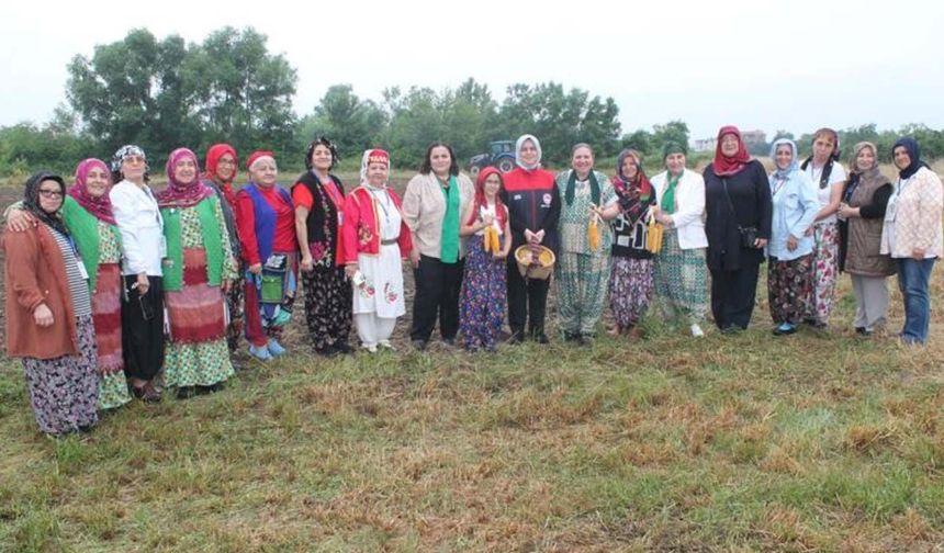 Düzce’de kadın üreticiler yerli mısır tohumlarını toprakla buluşturdu