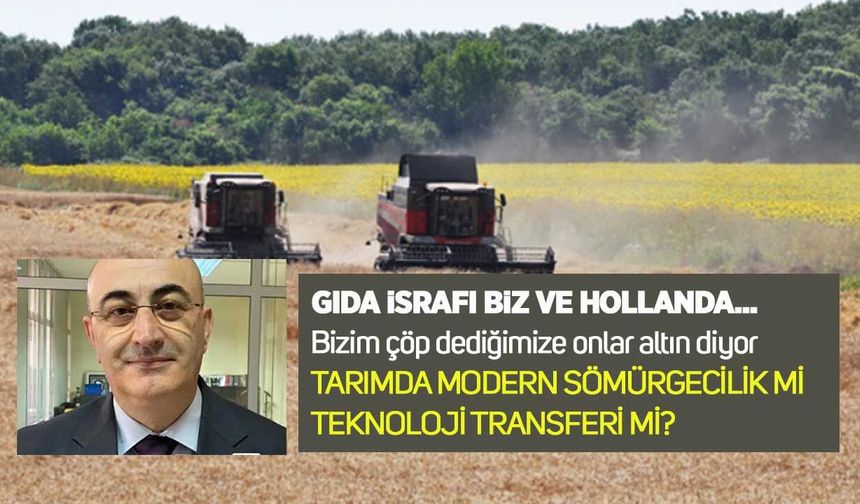 Gıda israfı biz ve Hollanda...