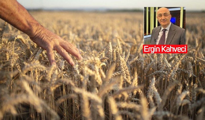 Ergin Kahveci’den İngiltere’nin 25 yıllık "Tarım Yol Haritası"na dikkat: Ankara 20 yıldır neyi bekliyor?