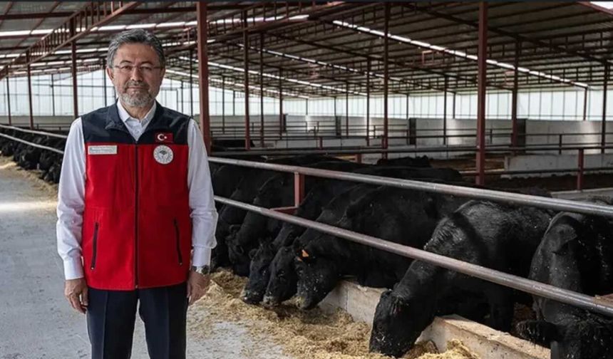 ESK’dan küçük üreticiye yeni model: İthal besilikte "Geri Alım Garantili" dönem başlıyor!