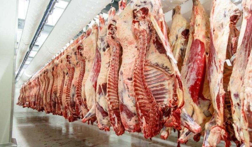 Et piyasasında kurban sonrası ithalat baskısı! UKON açıkladı, sahada kesimler hızlandı