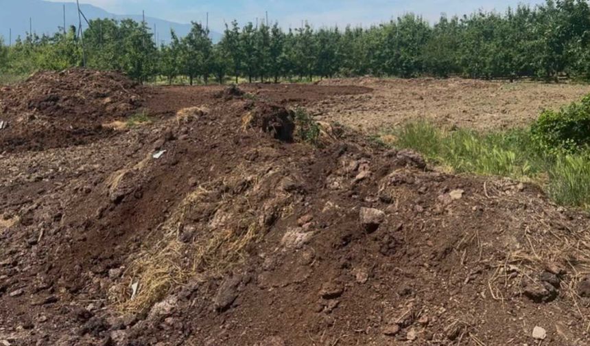 Hayvansal gübre fiyatları arttı mı? Kimyasal gübredeki zamlar sonrası gözler doğal alternatife çevrildi