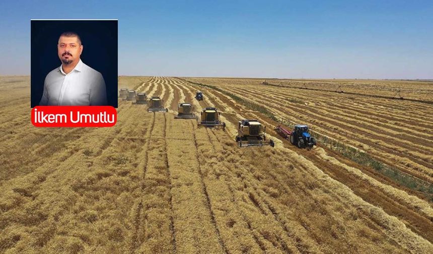 Çiftçi kuruluşlarında ‘böl, parçala, yönet’ stratejisi: Aynı buğdaya iki farklı dünya!