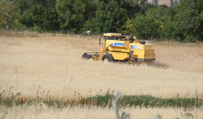 Buğdaya verilen taban fiyat, Türkiye’nin üretim gücüne biçilen bedeldir!