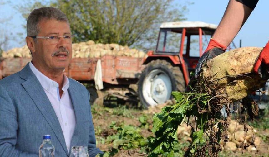 Şeker sektöründe tatlandırıcı alarmı: 850 bin tonluk haksız rekabet!