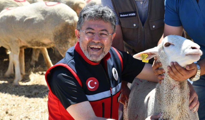 Kırsalda Bereket Projesi'nde dikkat çeken tören! 6 günde hayvan teslimi nasıl yapıldı?