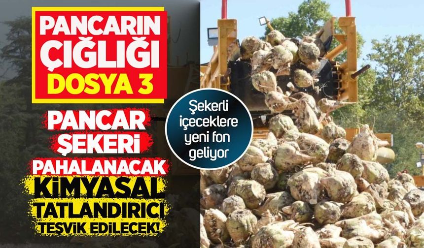 Pancarın Çığlığı: Şekerli içeceklere yeni fon geliyor! Pancar şekeri pahalanacak, tatlandırıcı teşvik edilecek!