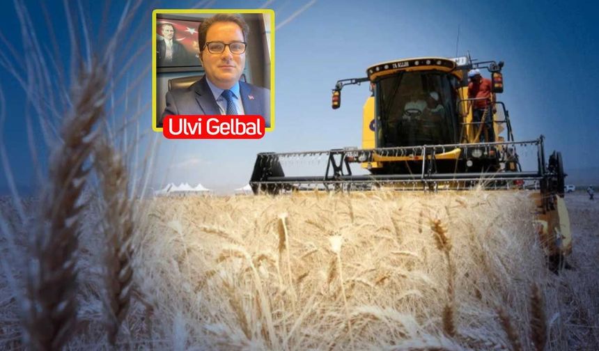 TMO 2026 hububat alım fiyatları analizi: Açıklanan buğday fiyatı çiftçinin maliyetini karşılıyor mu?