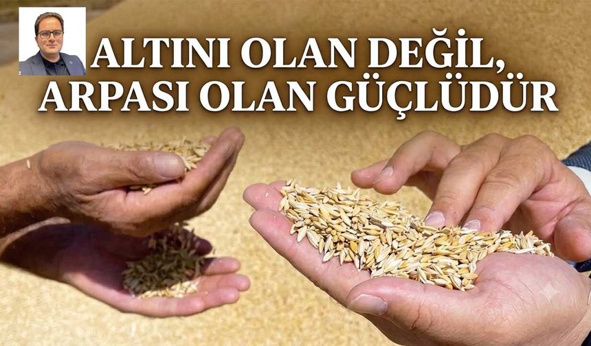 Altını olan değil, arpası olan güçlüdür