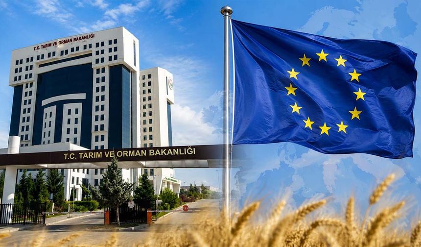 Tarım Bakanlığının görünmeyen gücü! Avrupa Birliği ve Dış İlişkiler Genel Müdürlüğü çiftçiyi neden ilgilendiriyor?