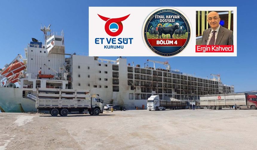 ESK'nın görevi kar etmek mi, piyasayı düzenlemek mi? İşte kanunda yazan görevleri
