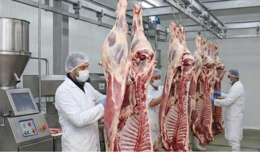 ESK'dan Tarım Bakanlığının talimatına aykırı kesim! Yağlı kesim talimatı yok sayıldı