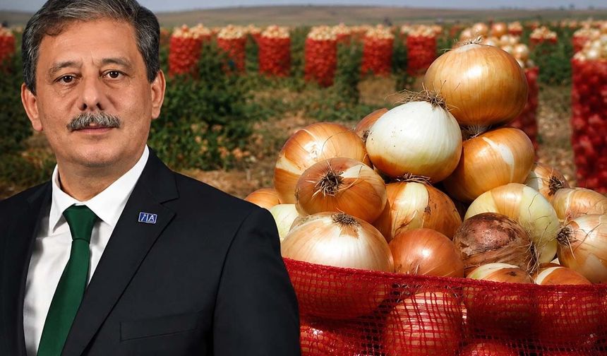 Demiröz: "Yurt dışından 25 liraya soğan almak yerine çiftçiden 35 liraya alın"