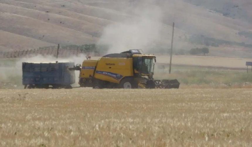 TMO fiyatı piyasada karşılık bulmadı! Hububatta makas büyümeye devam ediyor