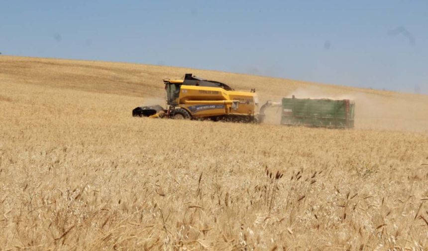Karadeniz'de savaş buğday fiyatlarını yeniden yükseltti! Türkiye için kritik uyarı